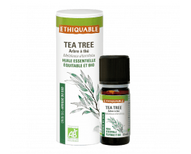 Article sur l'huile essentielle Tea Tree bio équitable